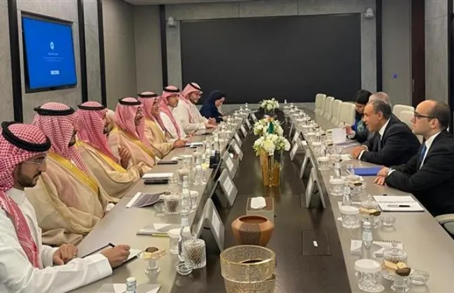 وزير الخارجية يستعرض مع وزير الصناعة السعودى الفرص الاستثمارية المتاحة بمصر 
