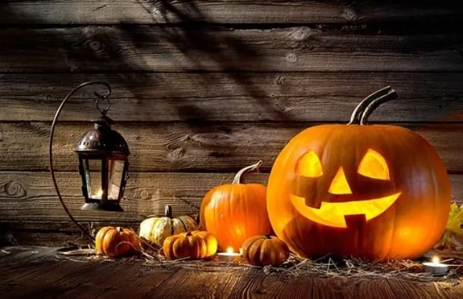 ثمرات يقطين وهياكل عظمية.. من أين جاءت فكرة الاحتفال بعيد الهالوين؟ ثمرات يقطين وهياكل عظمية.. من أين جاءت فكرة الاحتفال بعيد الهالوين؟