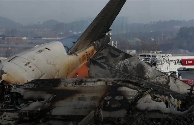 الناجى الوحيد من تحطم طائرة هندية: مُنحت الحياة لكن سلبت سعادتى 