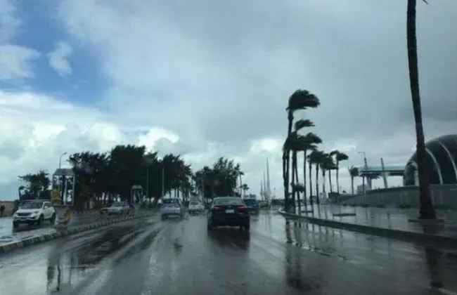 متى يبدأ الشتاء؟.. الموعد الرسمي لفصل الشتاء والفصول الأربعة 2025 