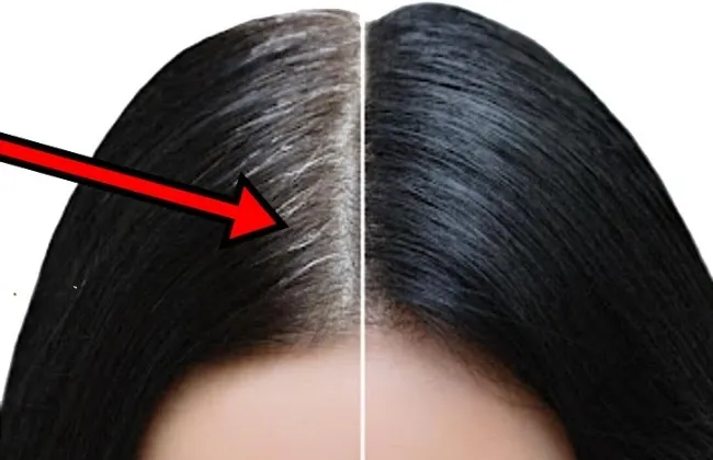 علاجات طبيعية فعّالة للتخلص من الشيب واستعادة لون الشعر الطبيعي