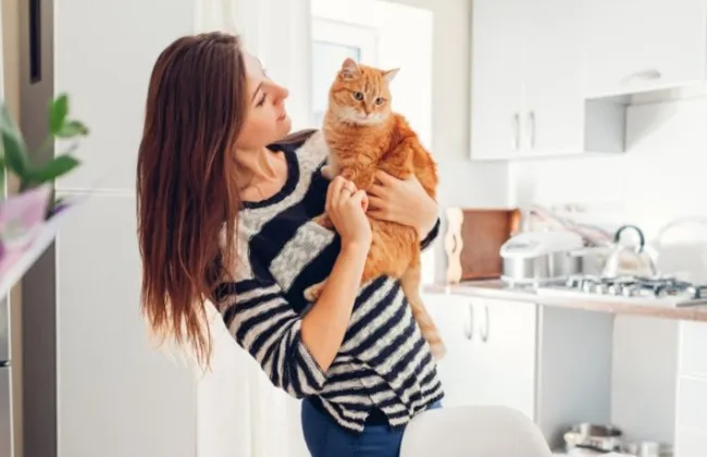 جدل عالمي حول علاقة تربية القطط باضطرابات نفسية 