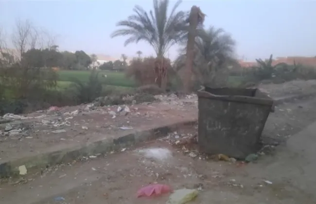 العثور على 10 أجنة داخل شوال بمنطقة كدوان في جنوب المنيا