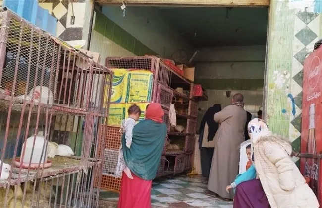 اسعار الدواجن للمستهلك في الأسواق