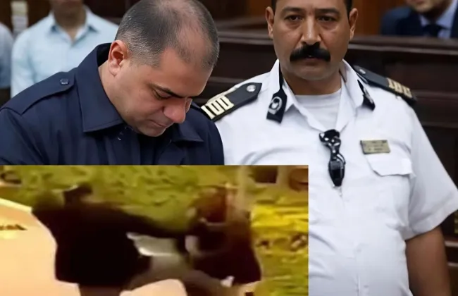 لا نفوذ فوق القانون.. د. فريد شوقي يفتح النار على 