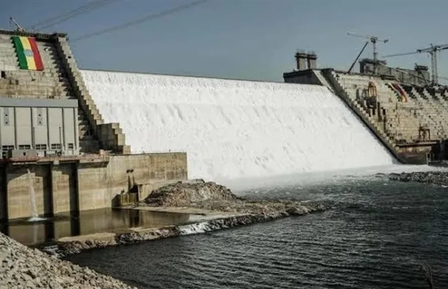 ضرورة حماية الأمن المائي لمصر والسودان