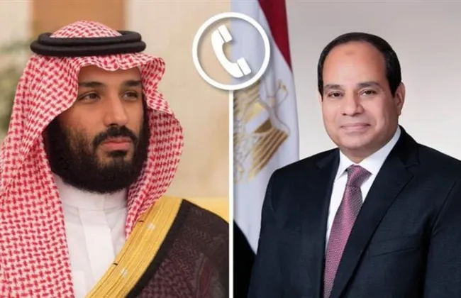 السيسي يؤكد تضامن مصر مع السعودية