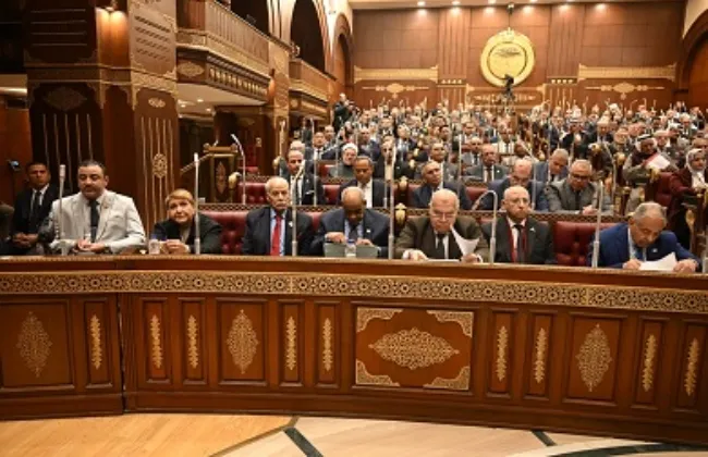 حقوق الإنسان بمجلس الشيوخ توصى بتيسيرات الإسكان الاجتماعى لذوى الإعاقة