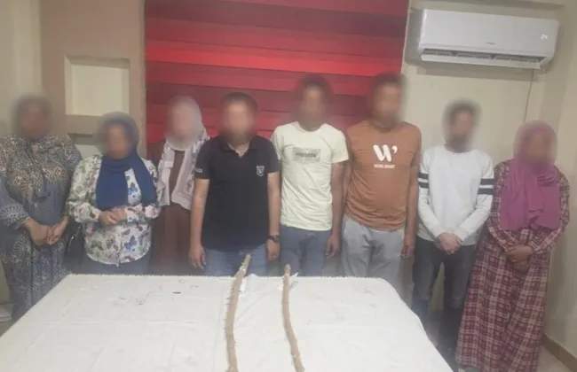 حقيقة فيديو إجبار سيدة على بيع شقتها بالفيوم.. الأمن يحسم الجدل