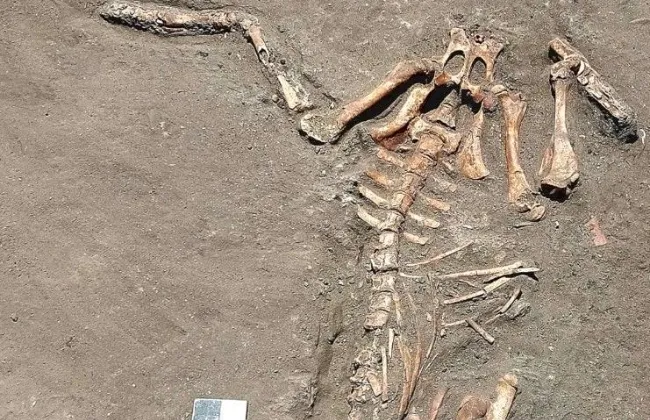 كشف أثري بالبحيرة يكشف أسرار الطقوس الجنائزية في العصور القديمة