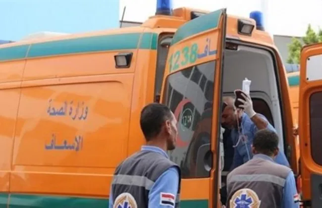مصرع عامل وإصابة 21 آخرين في انقلاب سيارة ربع نقل بطريق الفيوم- القاهرة