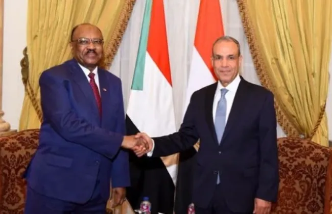 وزير الخارجية يلتقي نظيره السوداني لبحث تعزيز العلاقات الثنائية