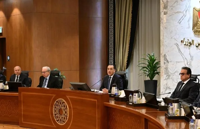قرار جديد من الحكومة بشأن التخلص من الرواكد والموجودات المودعة بمقابر السيارات