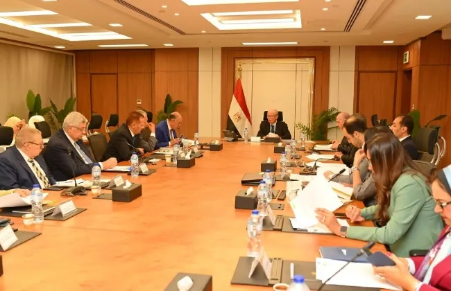 نائب رئيس الوزراء للشؤون الاقتصادية يترأس الجمعيات العامة لـ5 شركات قابضة