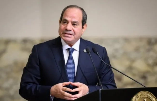 الرئيس السيسي: الدولة لديها القدرة على التعامل مع الأزمات بكفاءة