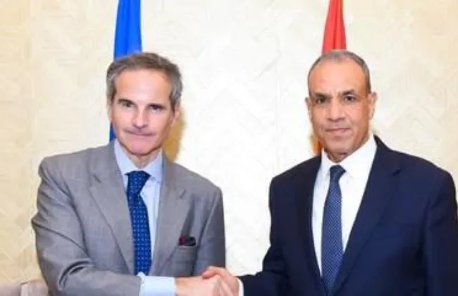 وزير الخارجية يلتقى المدير العام للوكالة الدولية للطاقة الذرية بمدينة العلمين