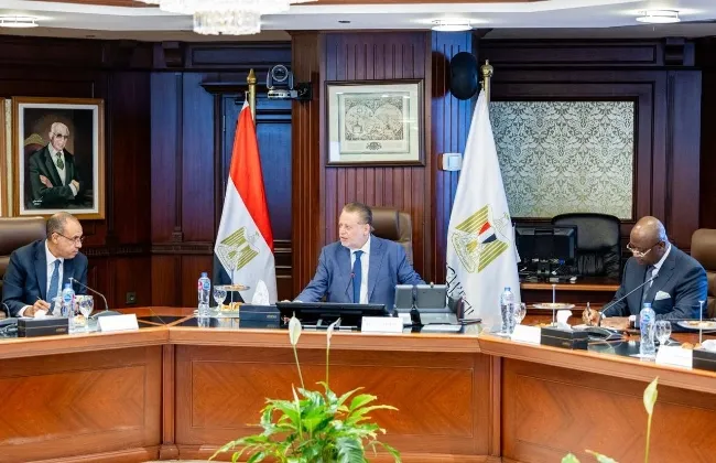 اجتماع ثلاثي بمشاركة محافظ البنك المركزى ووزير الخارجية ورئيس البنك الإفريقي