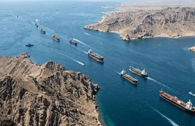 مصر تدين استهداف ناقلتى نفط إماراتيتين فى مضيق هرمز