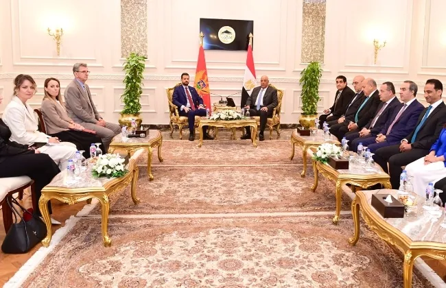 رئيس مجلس النواب يُشيد بمواقف الجبل الأسود الداعمة للقضية الفلسطينية