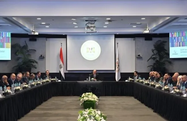 وزير الاستثمار والتجارة الخارجية يلتقي مجموعة موانئ دبي لبحث التعاون