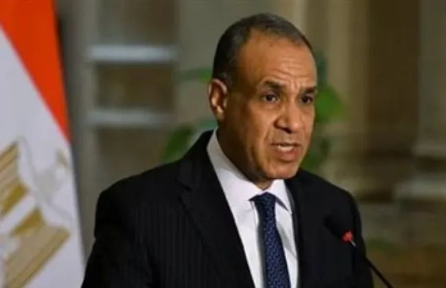 وزير الخارجية للمصريين بالخارج: أدعوكم للعمل الجاد لتوحيد الجهود تحت سقف واحد