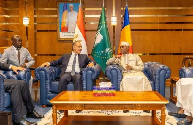 وزير الخارجية يلتقى نظيره التشادى لبحث سبل تعزيز العلاقات الثنائية