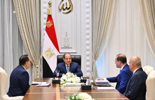 وزير المالية يستعرض مبادرات لتحفيز تحويل قطاع الصناعة للعمل بالطاقة الشمسية
