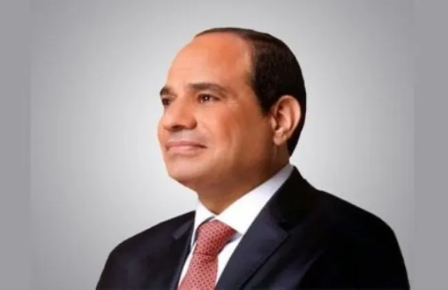 الرئيس السيسى يوجه بإطلاق منصة وطنية لطرح أفكار ومبادرات شباب مصر