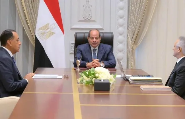 الرئيس السيسى يؤكد أهمية تطبيق أعلى معايير الأمن السيبرانى لحماية بيانات المتقاضين
