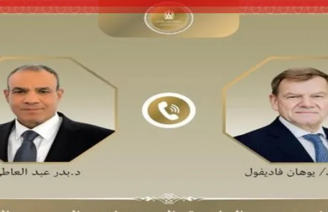 وزير الخارجية ونظيره الألمانى يبحثان التطورات فى الشرق الأوسط