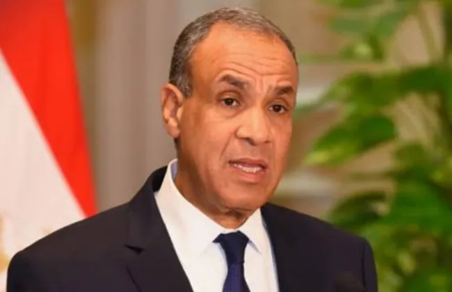وزير الخارجية: القضية الفلسطينية تمر بمنعطف تاريخى يفرض وحدة الموقف العربى