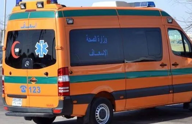 إصابة 10 أشخاص إثر انقلاب سيارة ميكروباص في الصف
