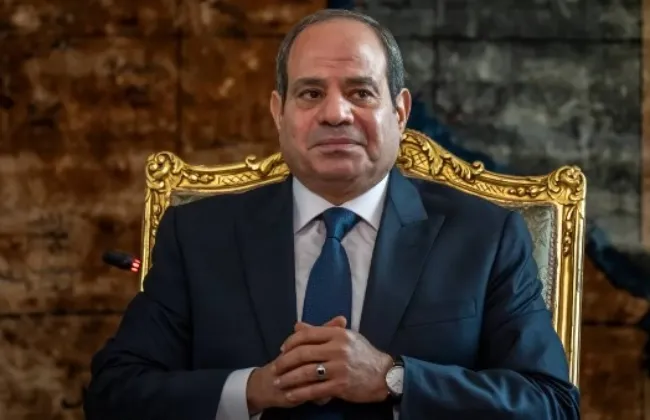 متحدث الرئاسة: الرئيس السيسى يعقد عددًا من اللقاءات مع القادة والمسئولين الأفارقة فى العلمين