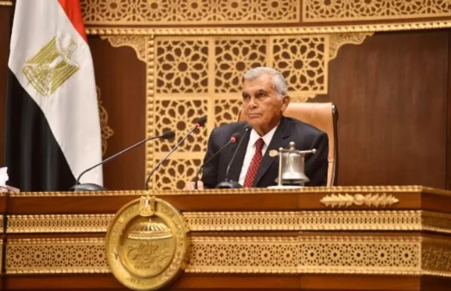 رئيس مجلس الشيوخ يرفع الجلسة العامة بعد انتخاب هيئات مكاتب 14 لجنة