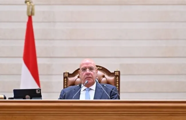 وزير الداخلية يخطر «النواب» بوفاة النائبة أمانى أبو سحلى.. والمجلس ينعيها